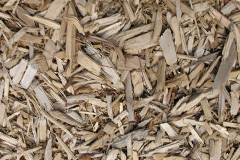 biomass boilers Bengate